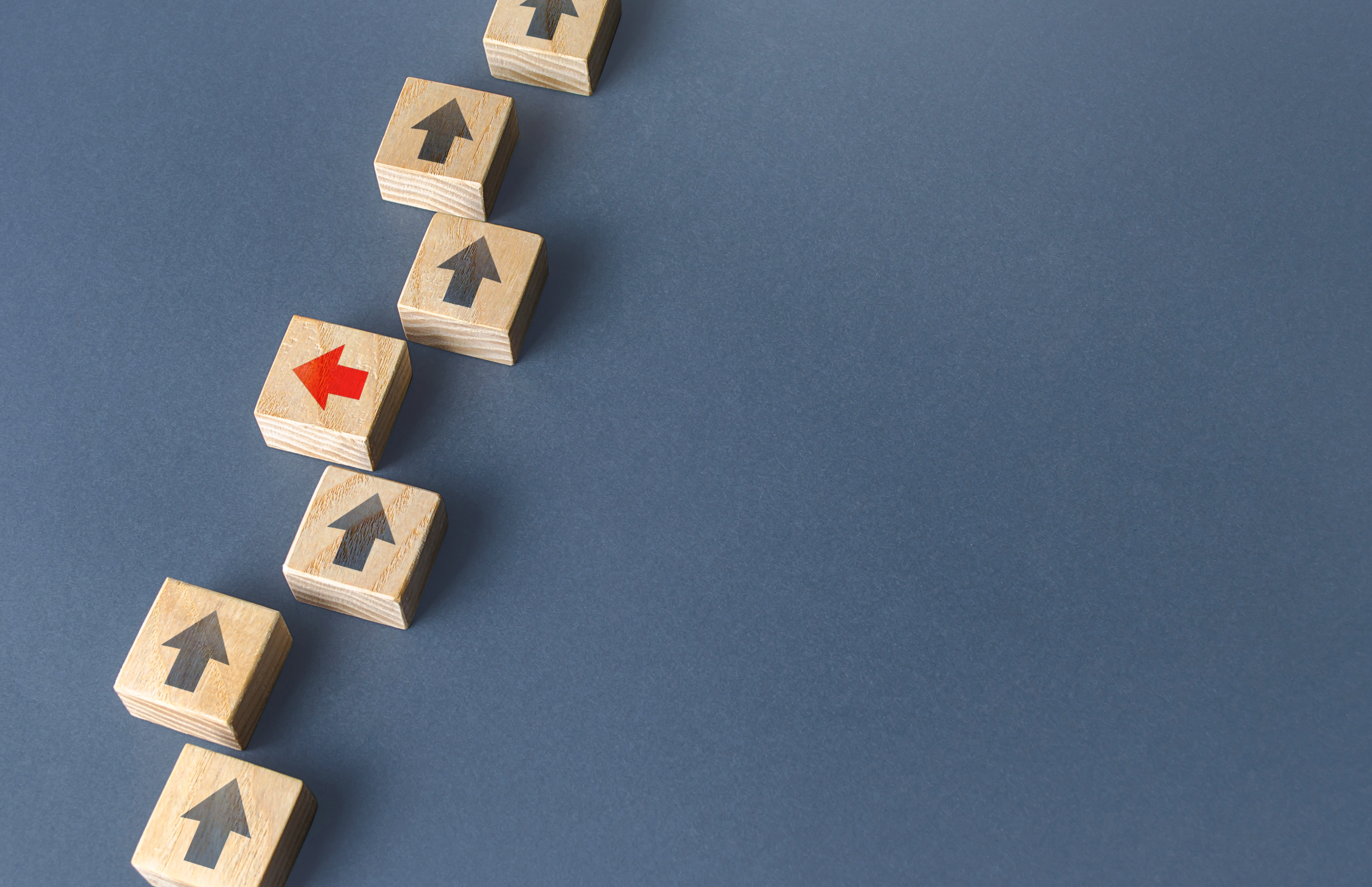 大手アウトドアメーカー【顧客データ分析に基づくマーケティング高度化】